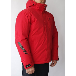 Горнолыжная мужская зимняя...