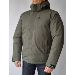 Горнолыжная мужская зимняя...